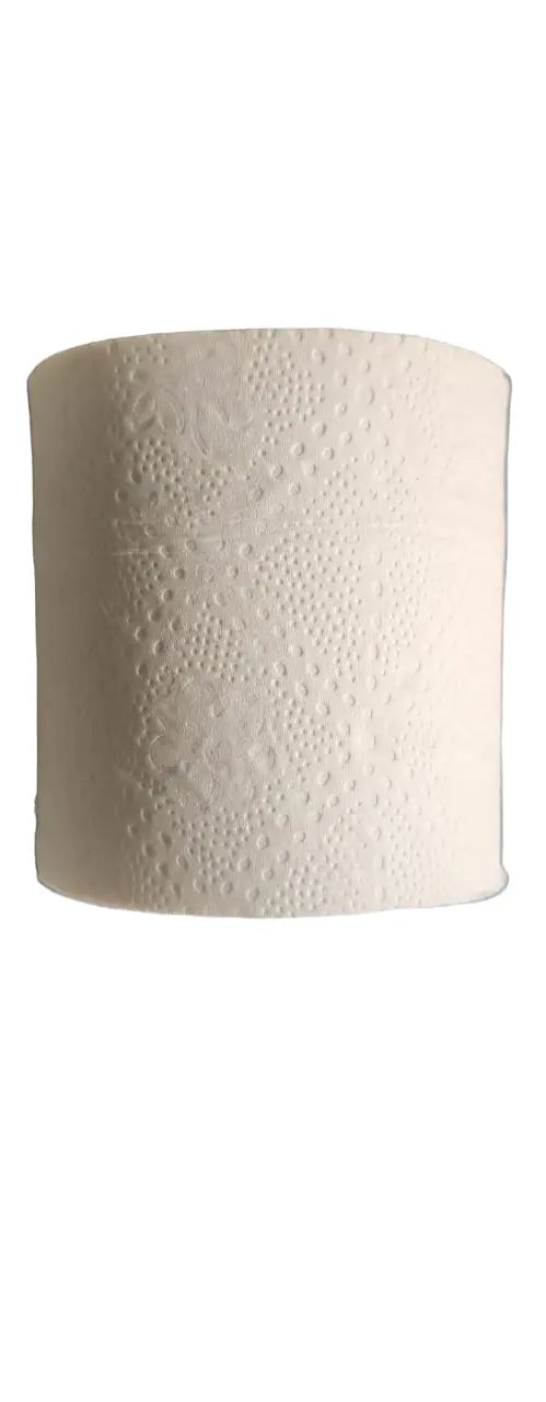 Toilet Tissue Rolls, 2Ply, Virgin, Super Soft, Anti Clog, 25 Rolls in a Pack My Store